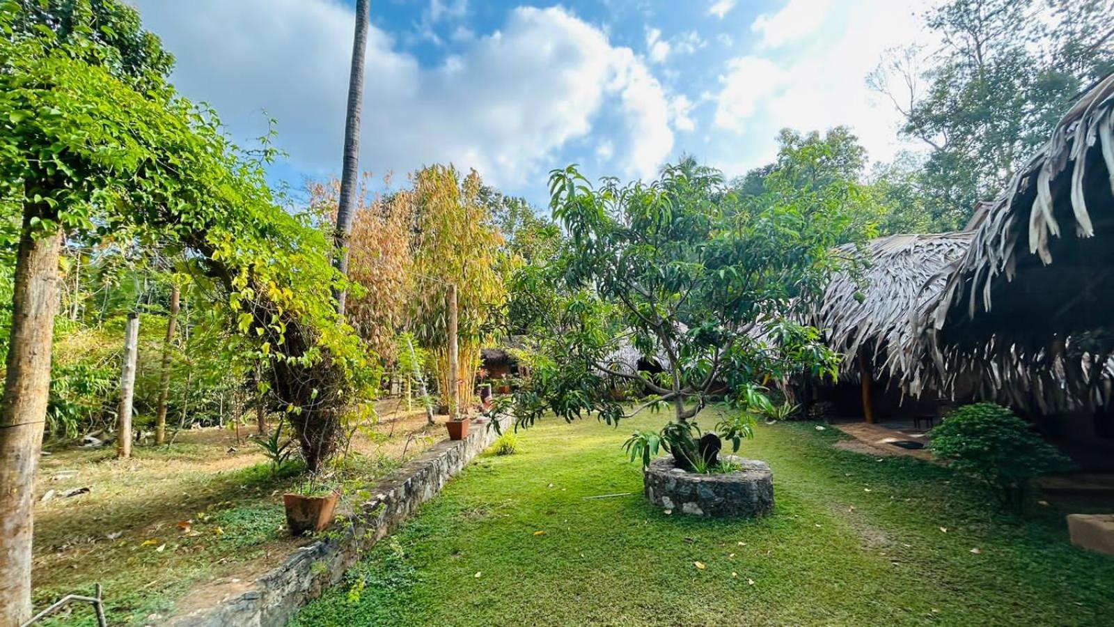 Hasthi Safari Cottage Udawalawe Bagian luar foto