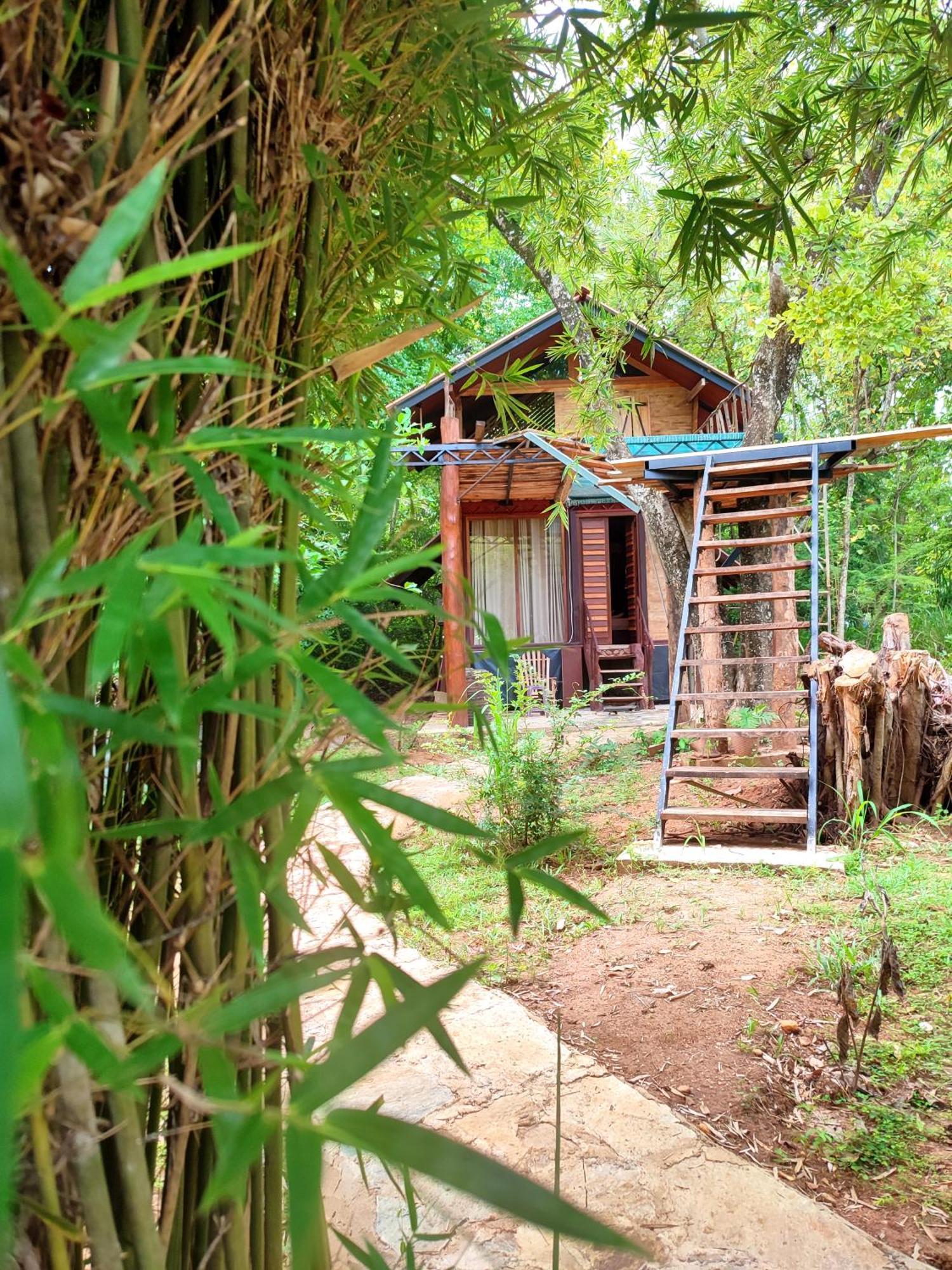 Hasthi Safari Cottage Udawalawe Bagian luar foto