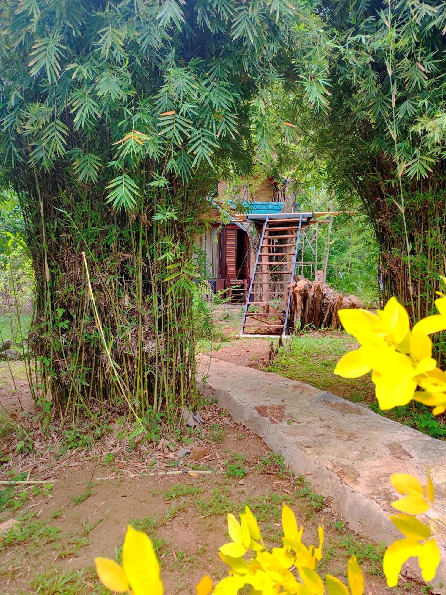 Hasthi Safari Cottage Udawalawe Bagian luar foto