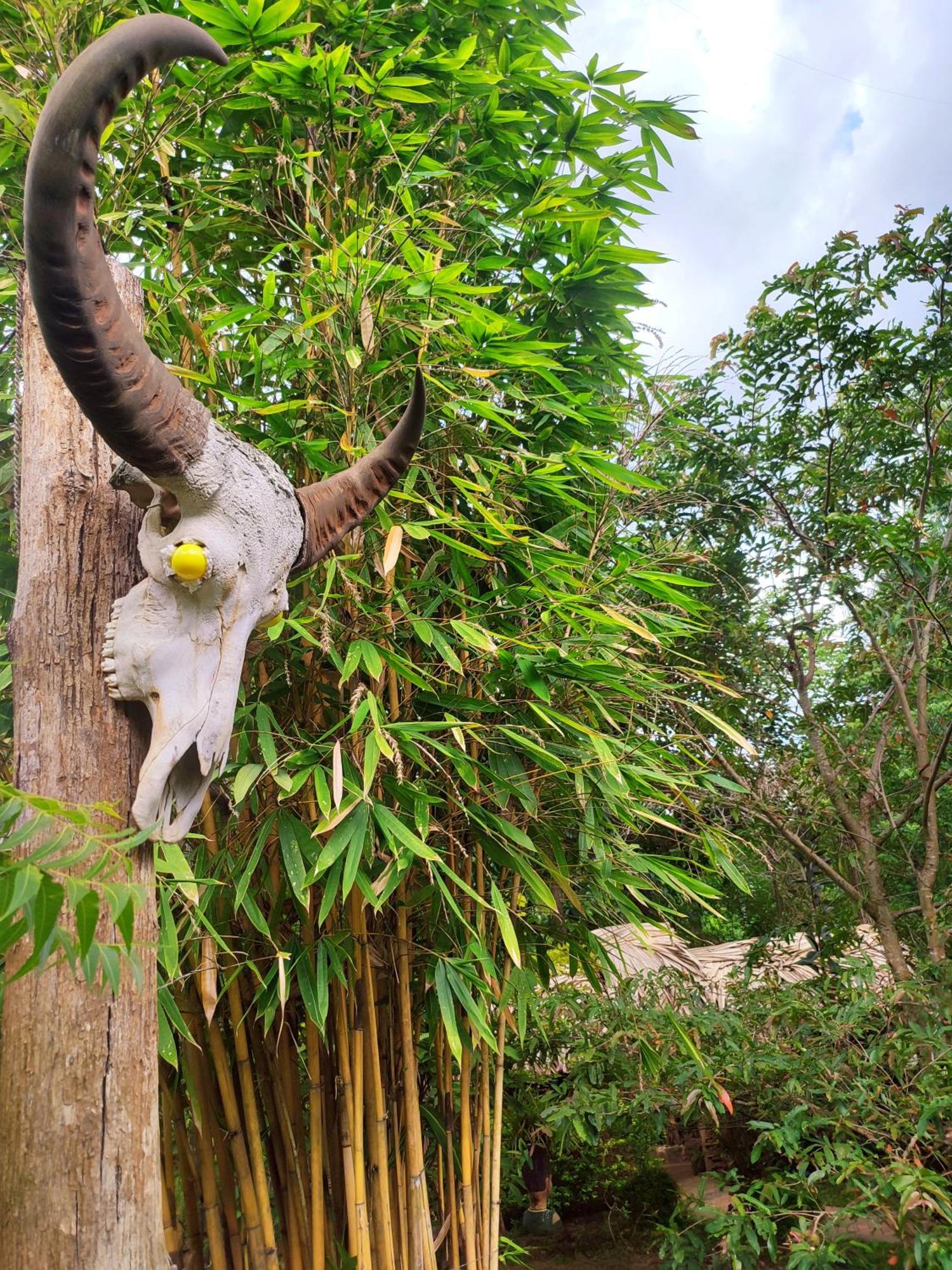Hasthi Safari Cottage Udawalawe Bagian luar foto