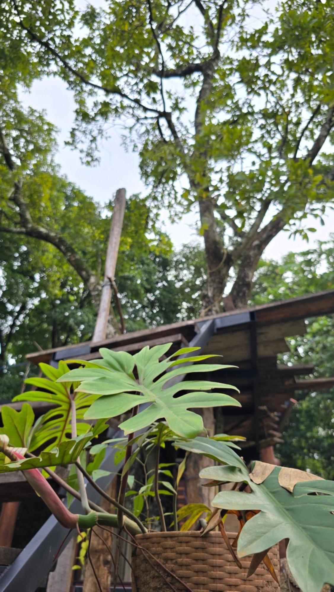 Hasthi Safari Cottage Udawalawe Bagian luar foto